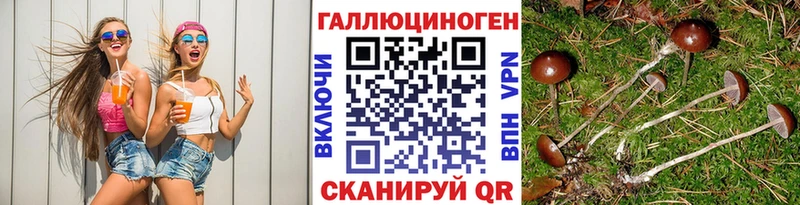 Псилоцибиновые грибы Magic Shrooms Баксан